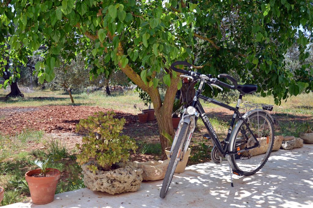 Agriturismo Tenuta Del Morige Galatone Εξωτερικό φωτογραφία