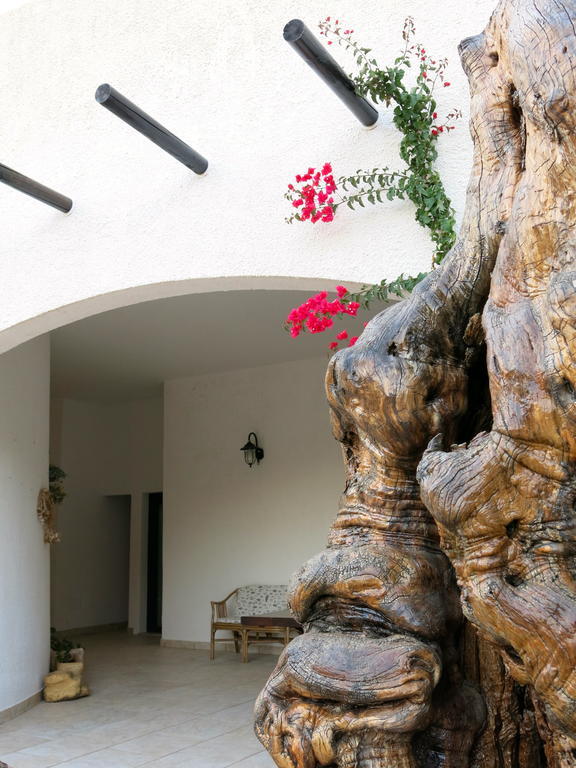 Agriturismo Tenuta Del Morige Galatone Δωμάτιο φωτογραφία